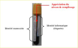 Comment coller en pratique